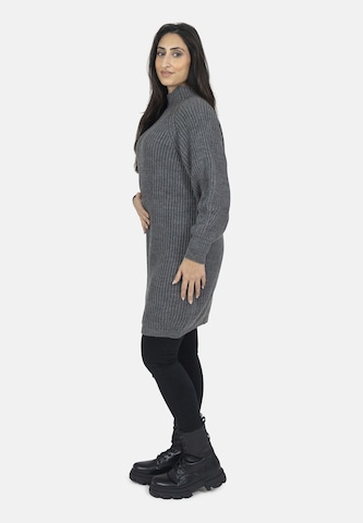 Elara Knit dress in Grey