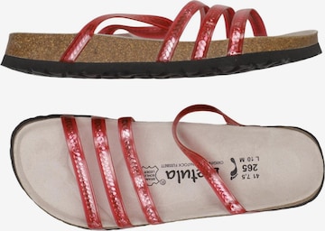 BETULA Sandalen 41 in Rot: Vorderseite
