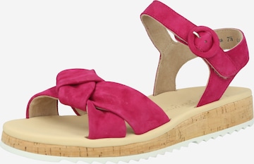 Paul Green Sandals in Pink: front