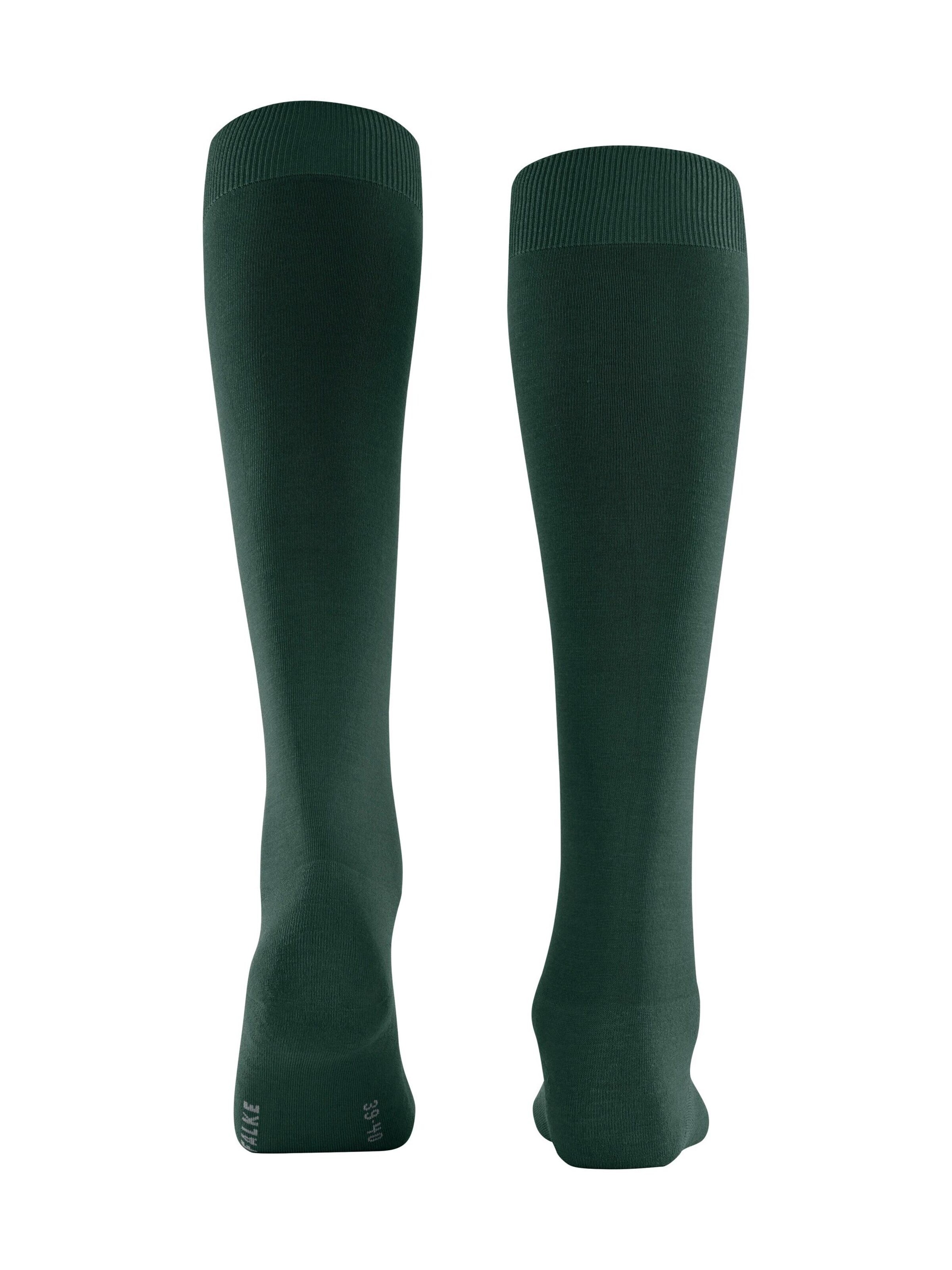 FALKE Kniestrümpfe 'ClimaWool'‌‌‌‌‌‌ in Grün