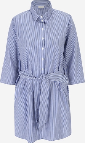 JDY Petite Платье-рубашка 'HALL' в Синий: спереди