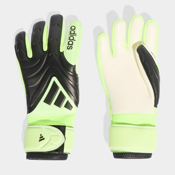 ADIDAS PERFORMANCE Athletic Gloves in Black: front