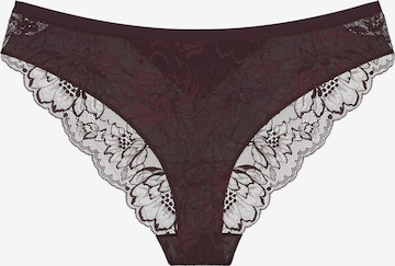 Slip 'Amourette Charm' TRIUMPH en violet : devant