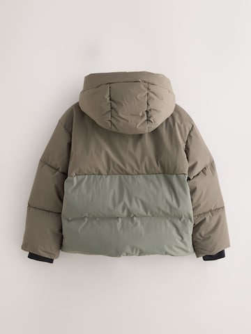 smALLSAINTS - Chaqueta de invierno en verde