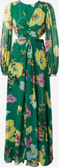 Oasis Robe 'Soft Floral Button Detail Cut Out Maxi D' en émeraude / mélange de couleurs, Vue avec produit