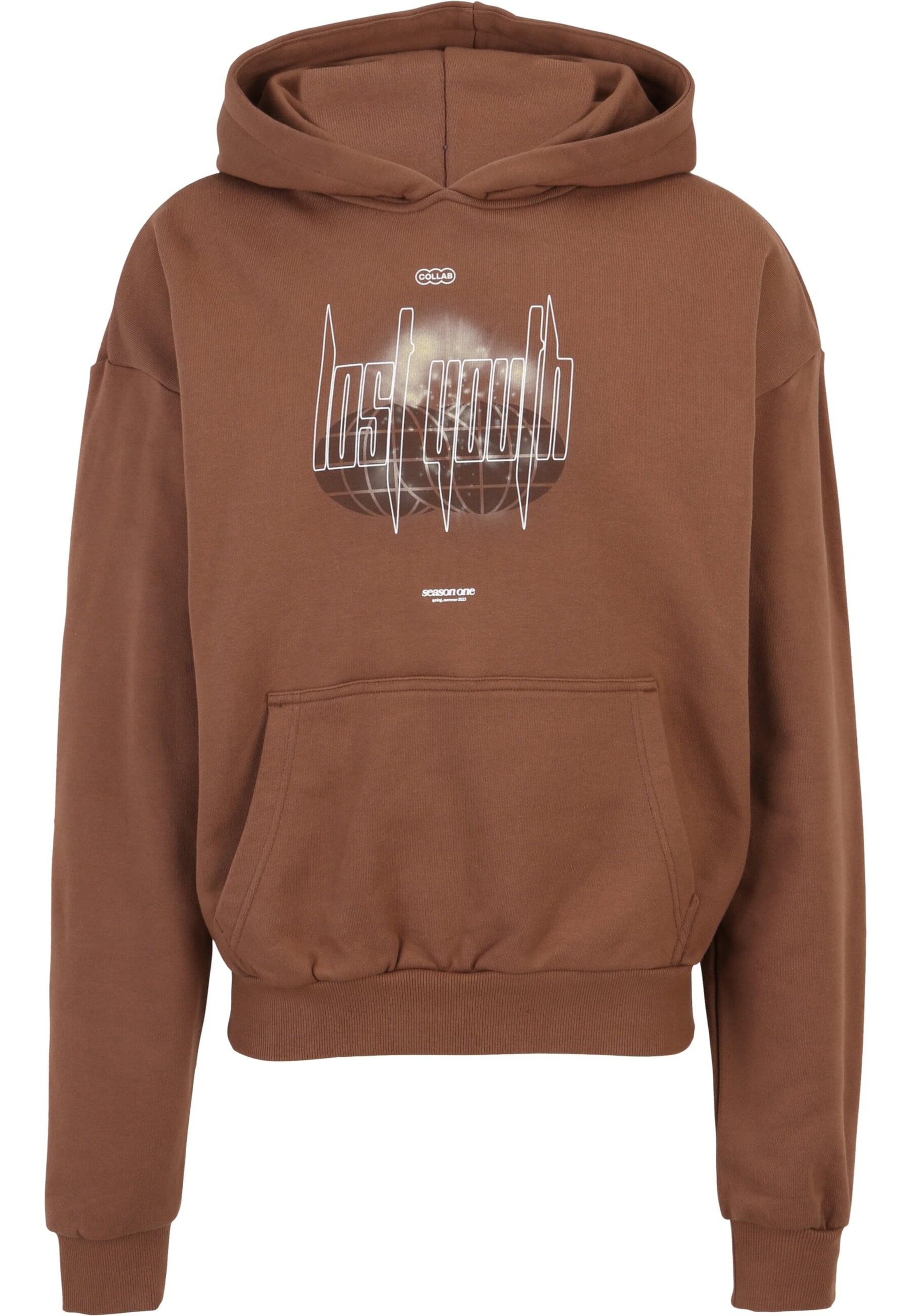 Lost Youth Sweatshirt in Brown: front