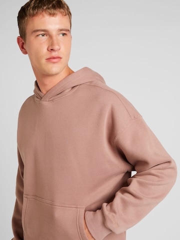 HOLLISTER Sweatshirt in Bruin