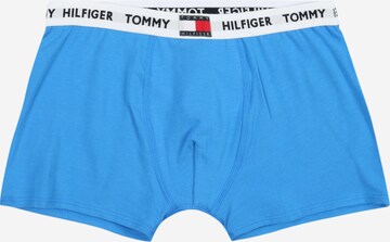 Tommy Hilfiger Underwear Regularen Spodnjice | modra barva
