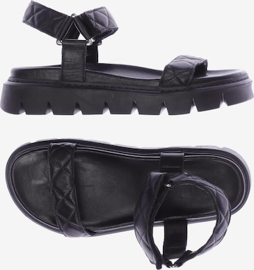 Apple of Eden Sandals & High-Heeled Sandals in 39 in Black: front