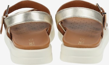 GEOX Sandalen met riem in Goud