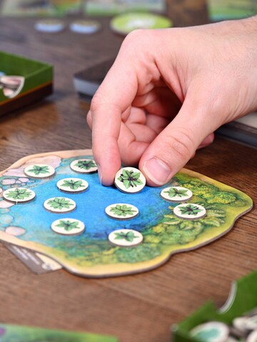 HABA Game ' Nature Ökosystem ' in Mixed colours