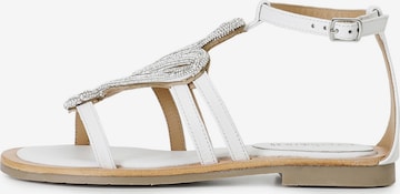 Sandalo di CAFè NOIR in bianco: frontale