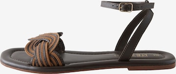 Sandales à lanières 'Forever Comfort' Next en marron : devant