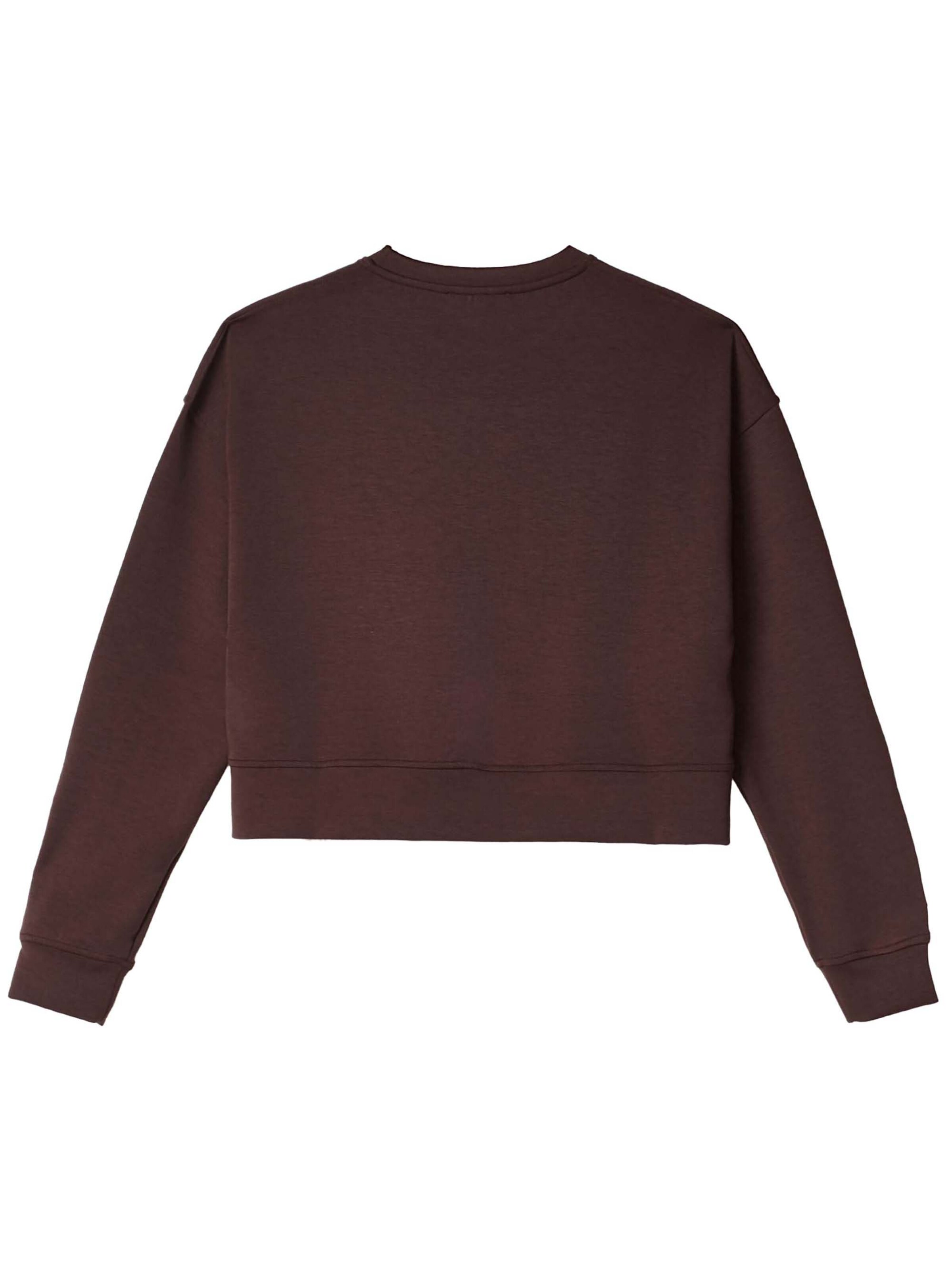 HINNOMINATE Sweatshirt in Brown