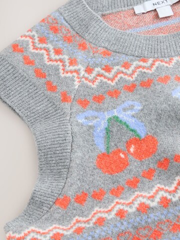 Next Sweater in Grey