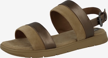 GEOX Sandalen met riem in Bruin: voorkant