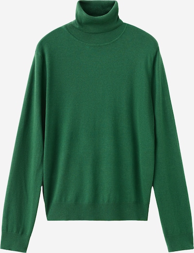 MANGO Pulover 'LUCCAC' u zelena, Pregled proizvoda