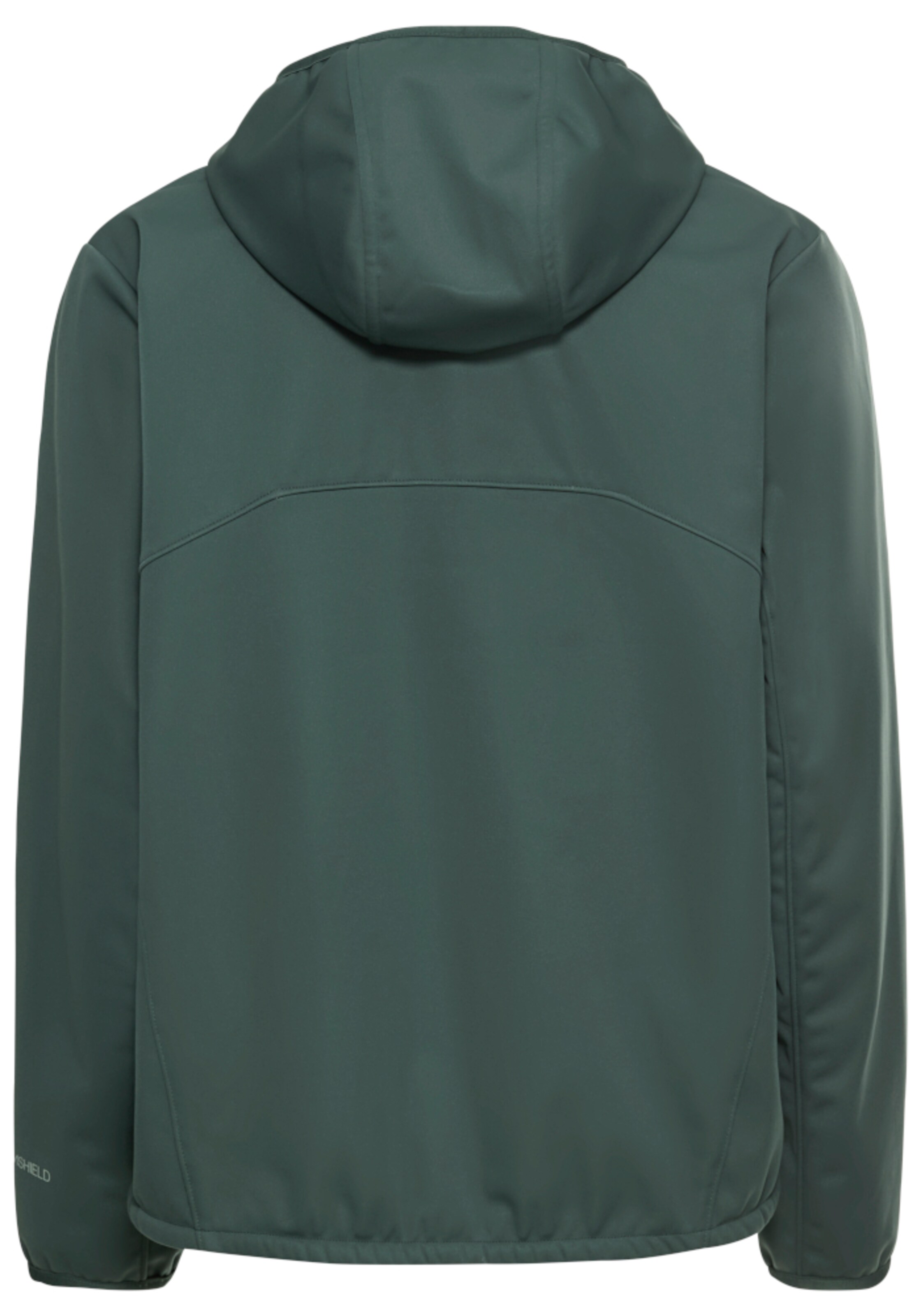 JACK WOLFSKIN Outdoor Jacket in Green