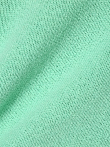 DRYKORN Sweater 'Lyzima' in Green