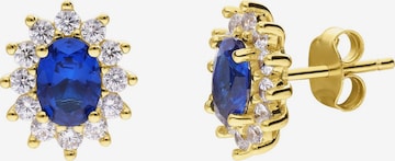 Lucardi Earrings in Gold: front