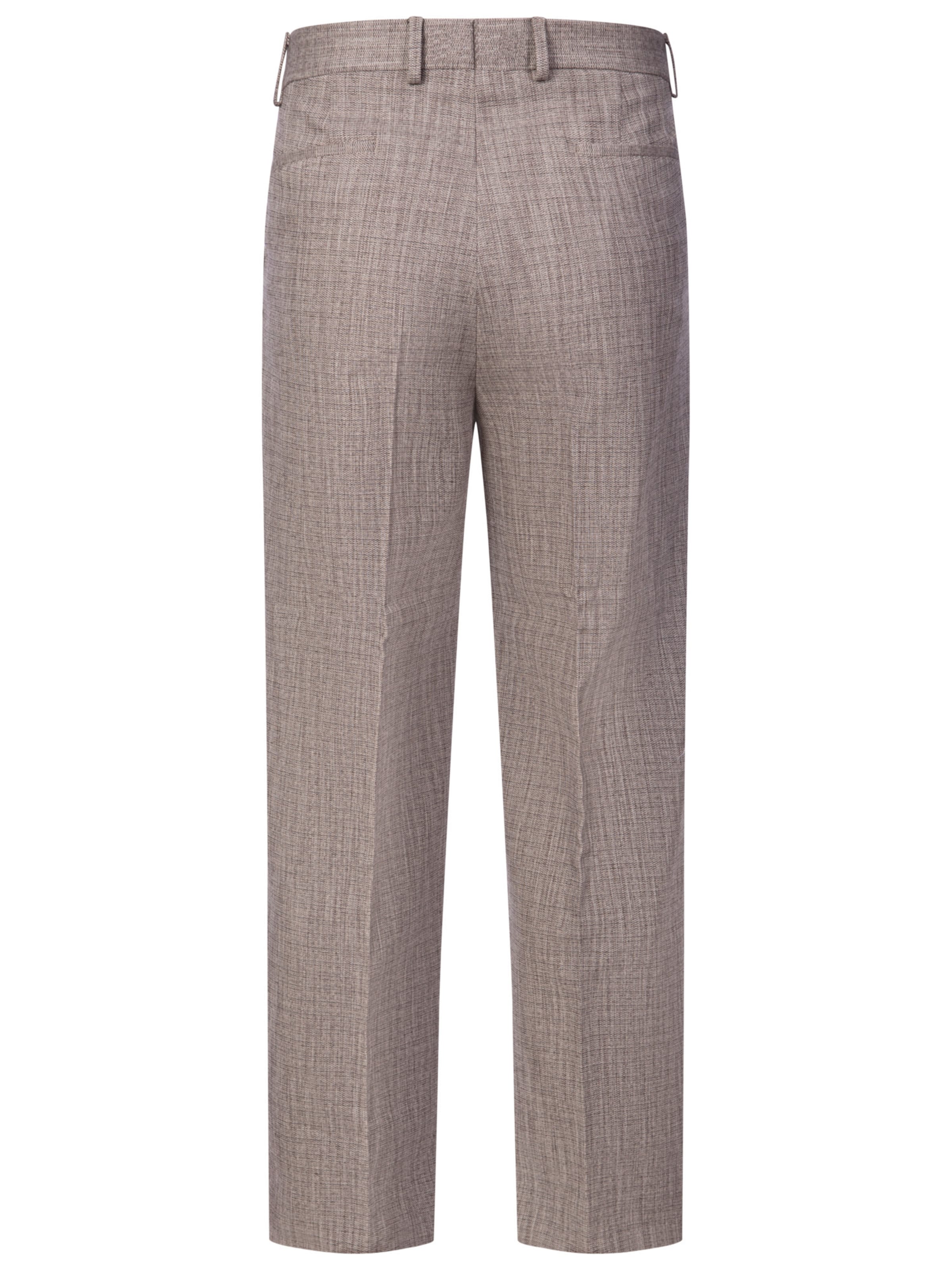 Karl Lagerfeld Regular Pants in Brown