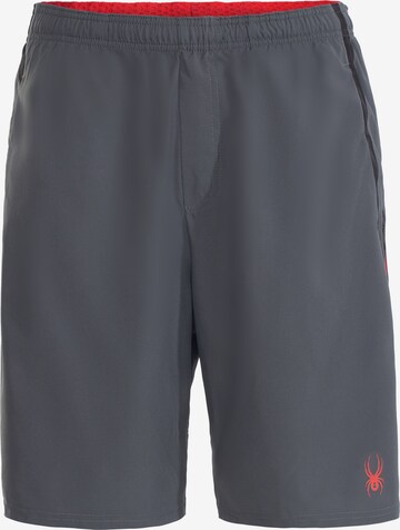 Regular Pantalon de sport Spyder en gris : devant