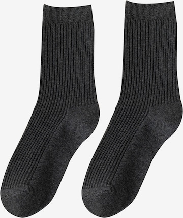 Millo Socks 'Cosy Steps' in Grey: front