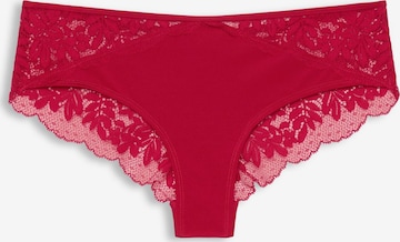 ESPRIT Panty in Rot: predná strana