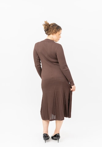 Elara Knit dress in Brown