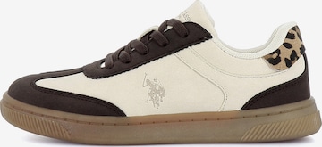 Baskets 'Jess' US POLO ASSN. en beige : devant