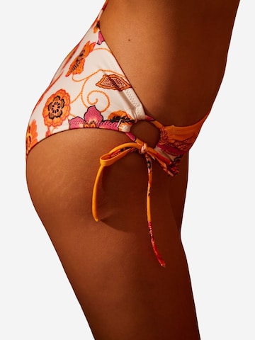 Penti Bikini hlačke | mešane barve barva