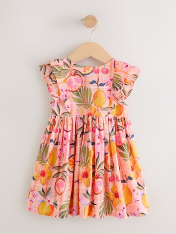 Next Kleid in Pink