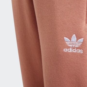 ADIDAS ORIGINALS Tapered Hose 'Adicolor' in Braun