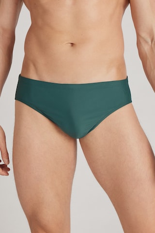 INTIMISSIMI Board Shorts in Green: front