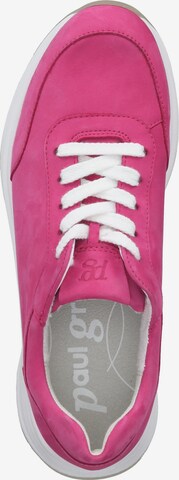 Paul Green Sneakers in Pink
