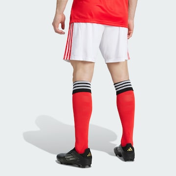 Regular Pantalon de sport 'Benfica Lissabon 25/26' ADIDAS PERFORMANCE en blanc