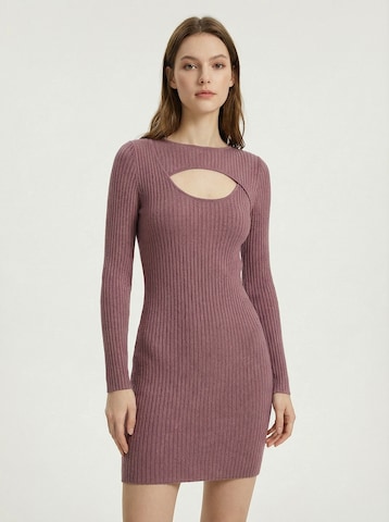 studioselect Klänning 'Nadia' i brun: framsida