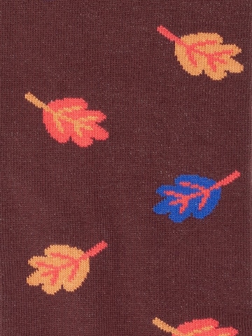 Chaussettes 'Fall Wonders' DillySocks en mélange de couleurs