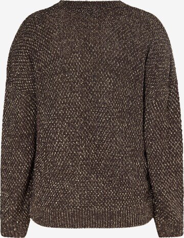 usha BLACK LABEL Sweater in Brown