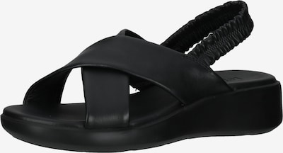Sandalo con cinturino Legero di colore nero, Visualizzazione prodotti