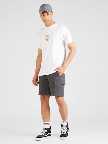 VANS Regular Shorts 'VOYAGE ESSENTIALS BOARD' in Grau