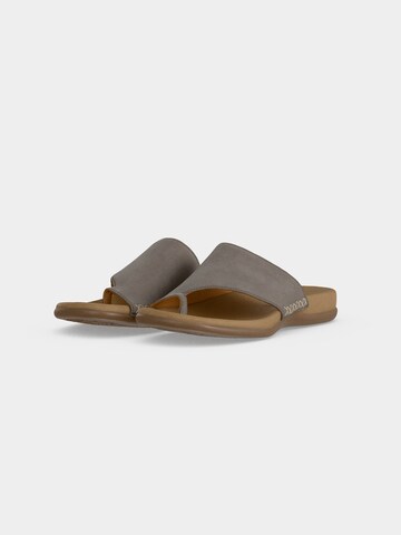 GABOR T-Bar Sandals in Grey