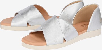 Apple of Eden Ballerina 'Celine' in Zilver