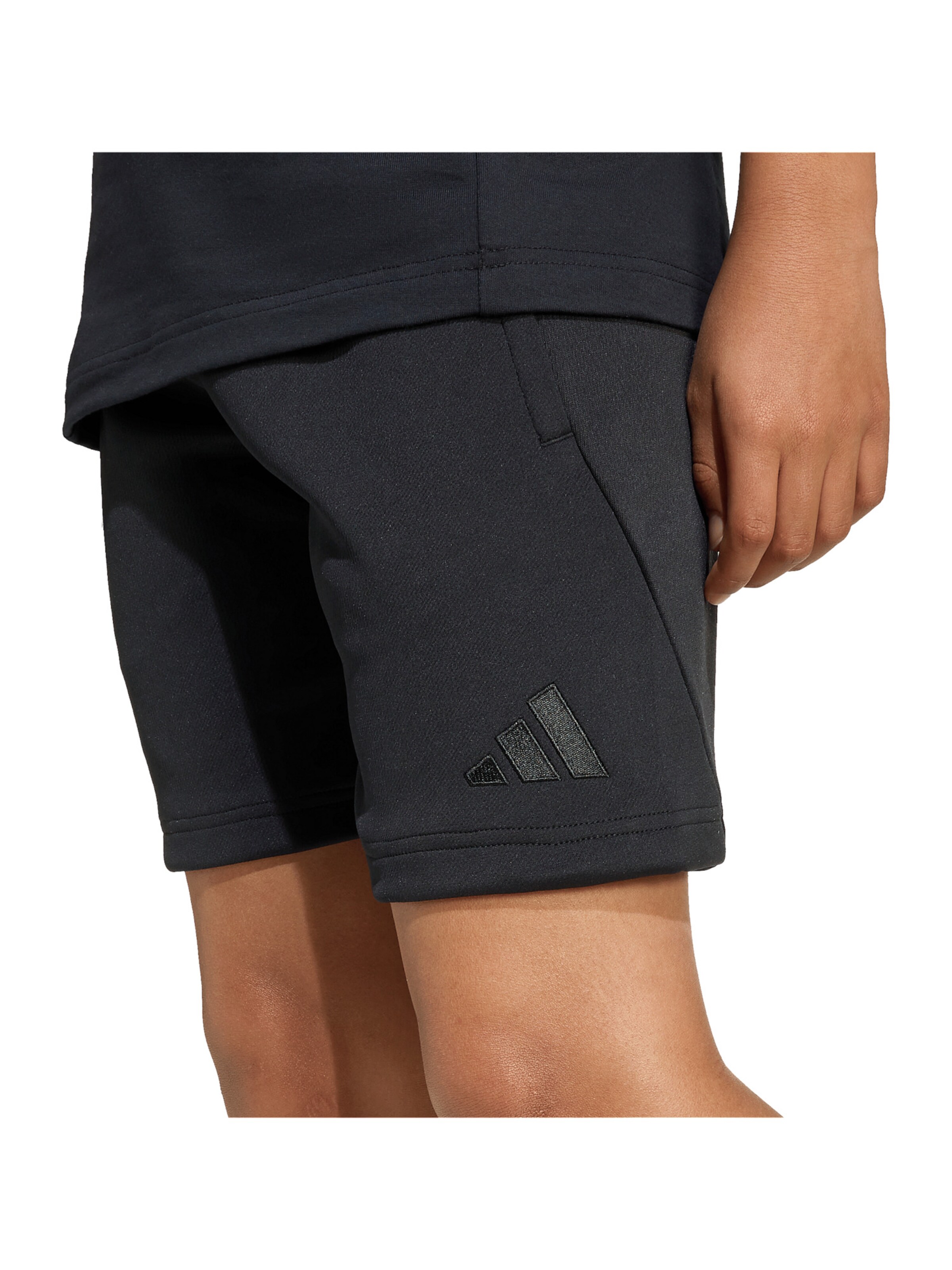 ADIDAS PERFORMANCE Regular Urheiluhousut värissä musta: etupuoli