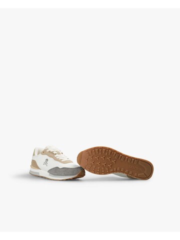 Baskets basses ' ' Scalpers en blanc : en bas