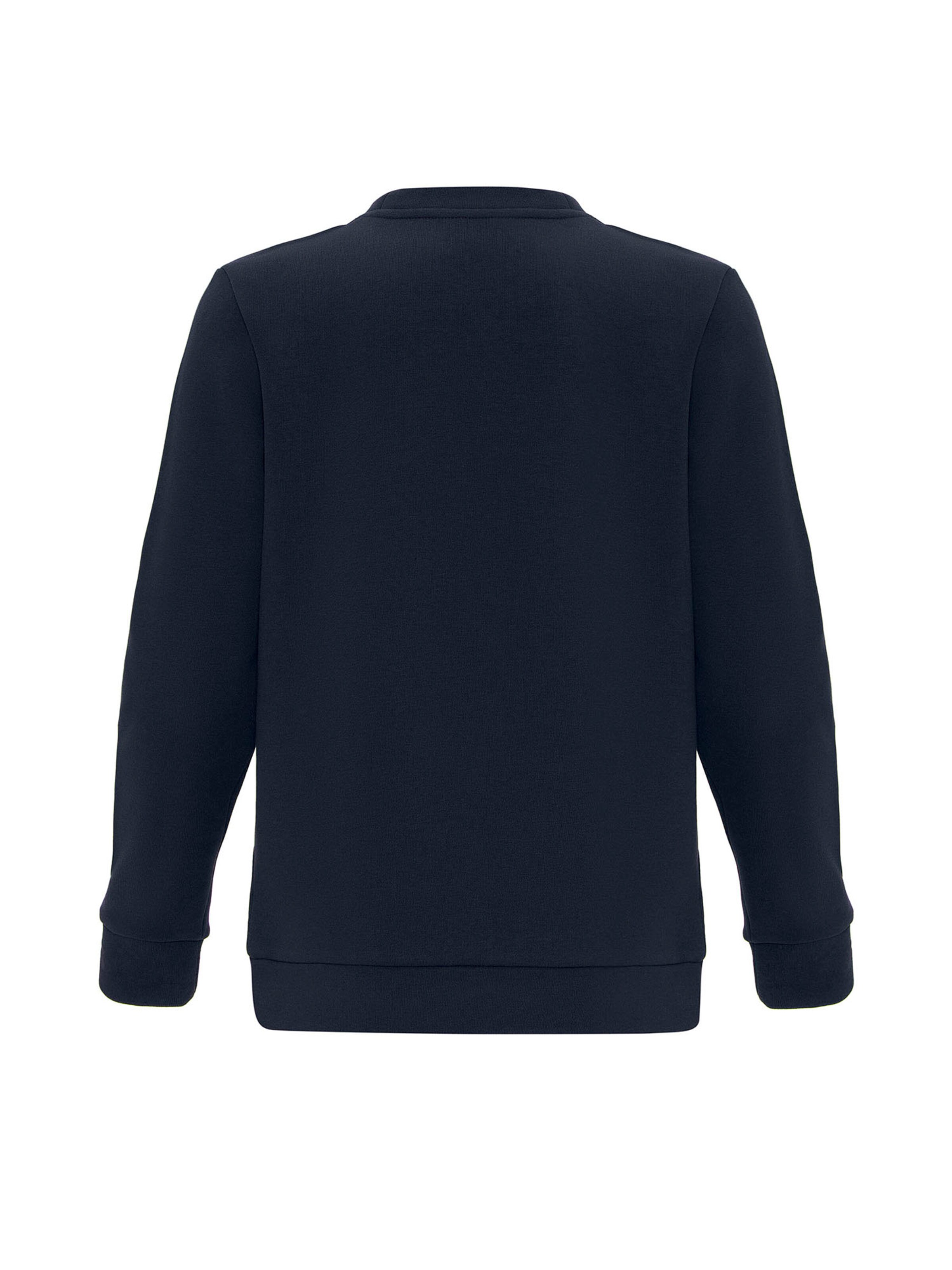 Williot Sweatshirt in Blue