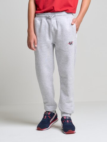 BIG STAR Tapered Pants 'ERBEN' in Grey: front