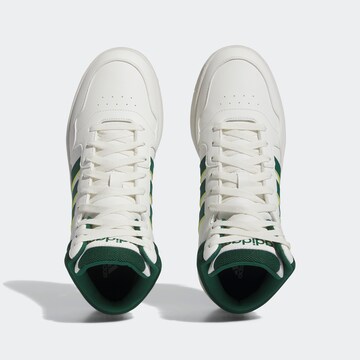 Baskets hautes 'Hoops 3' ADIDAS ORIGINALS en blanc