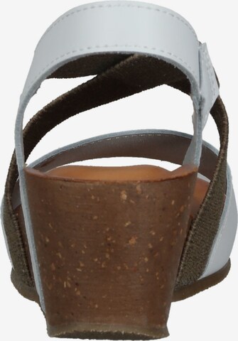 IGI&CO Sandals in Brown