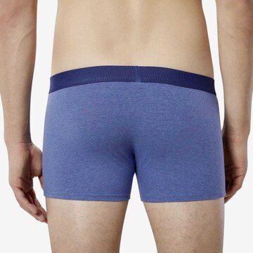 BRUNO BANANI Boxershorts in Blau